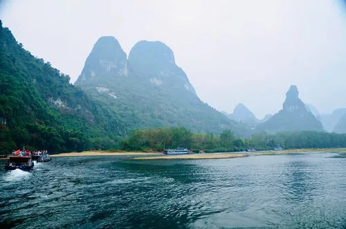 网络化高效全自动